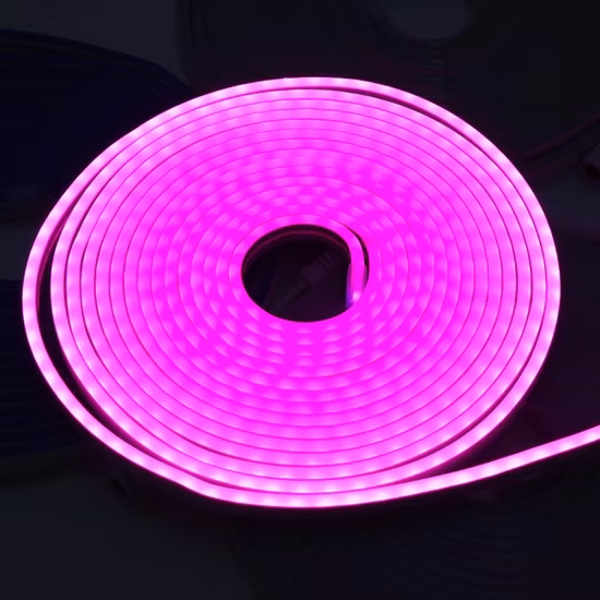 Venda por atacado de fábrica IP20 Multicolor TV Backlight Armário DC24V 12V Decoração Iluminação Flexível SMD2835 300 Shenzhen LED Strip Light